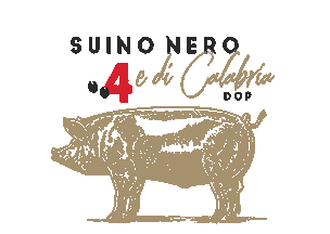 Black Pig