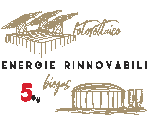 Renewable Energy